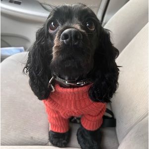 Meet your Posher, Robert